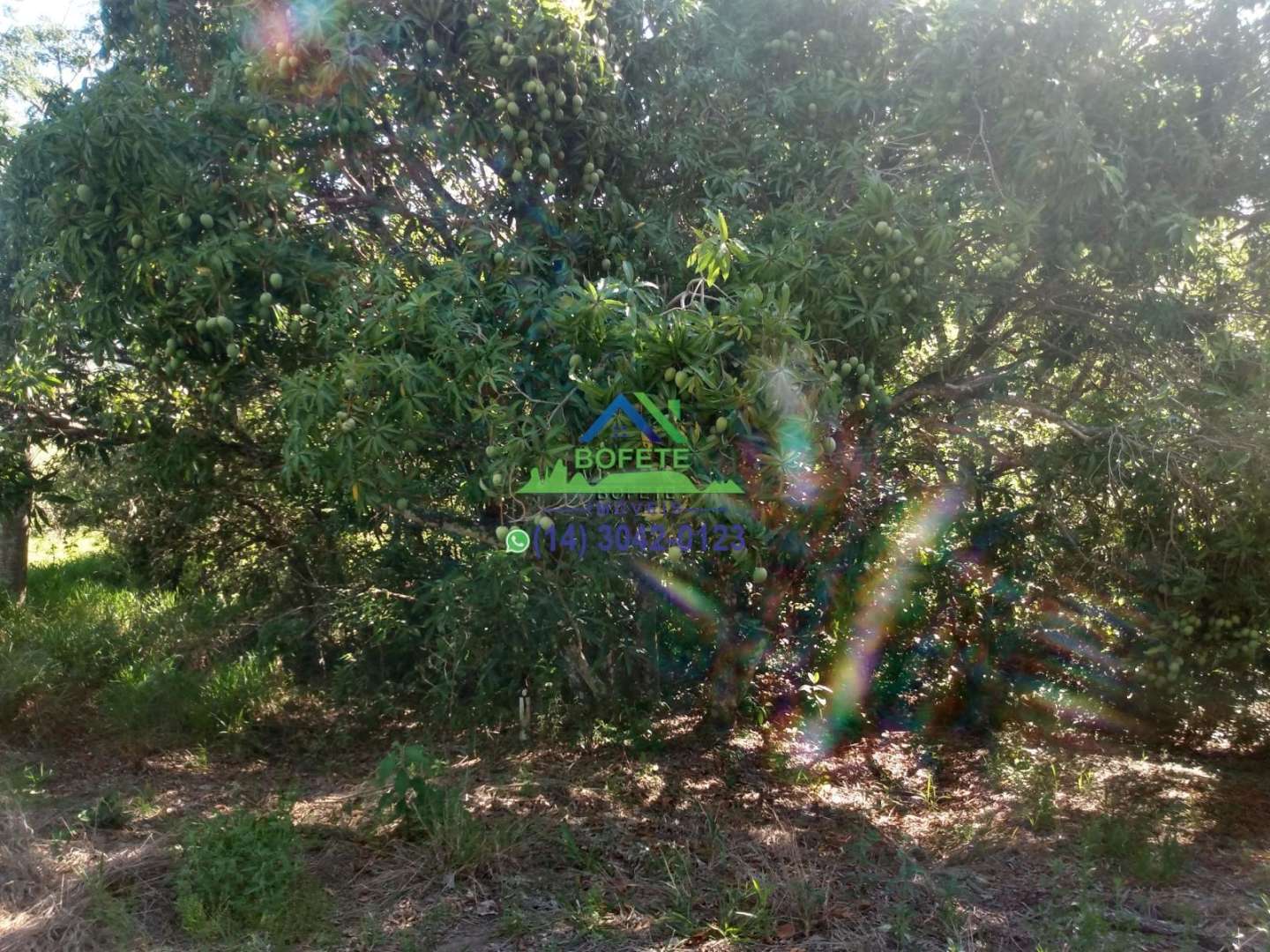 Fazenda, 2 hectares - Foto 6