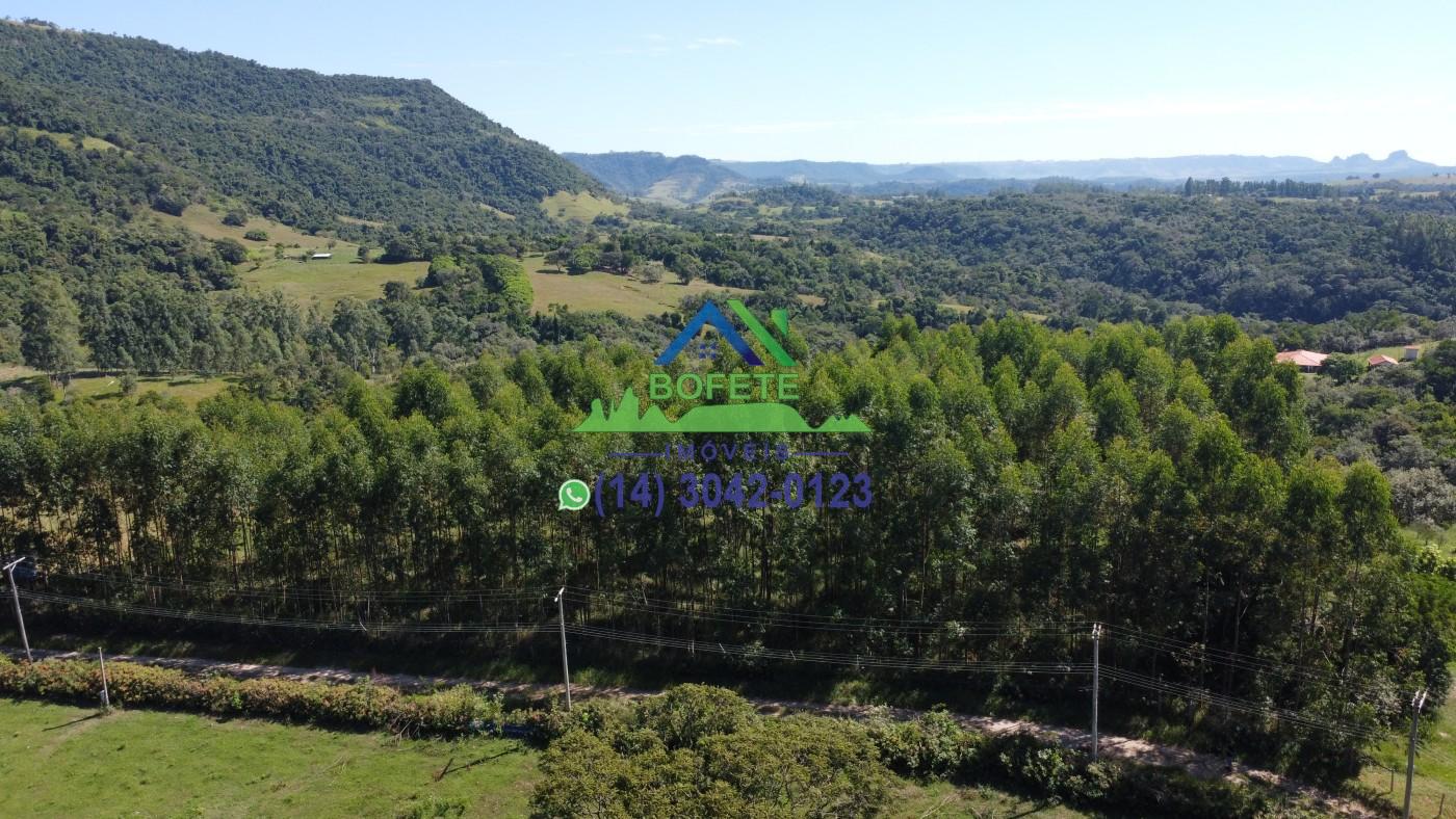 Terreno, 2 hectares - Foto 5