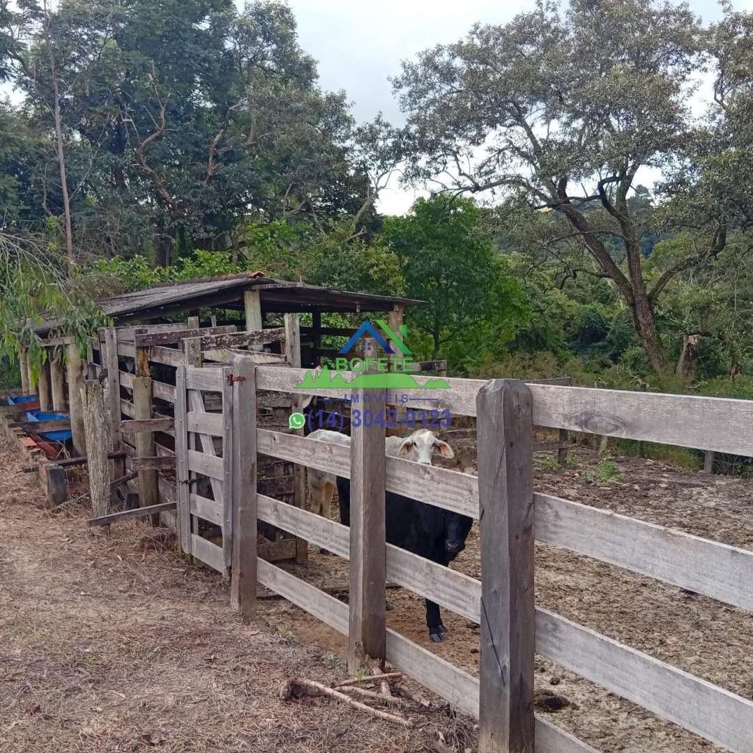 Fazenda, 2 hectares - Foto 30