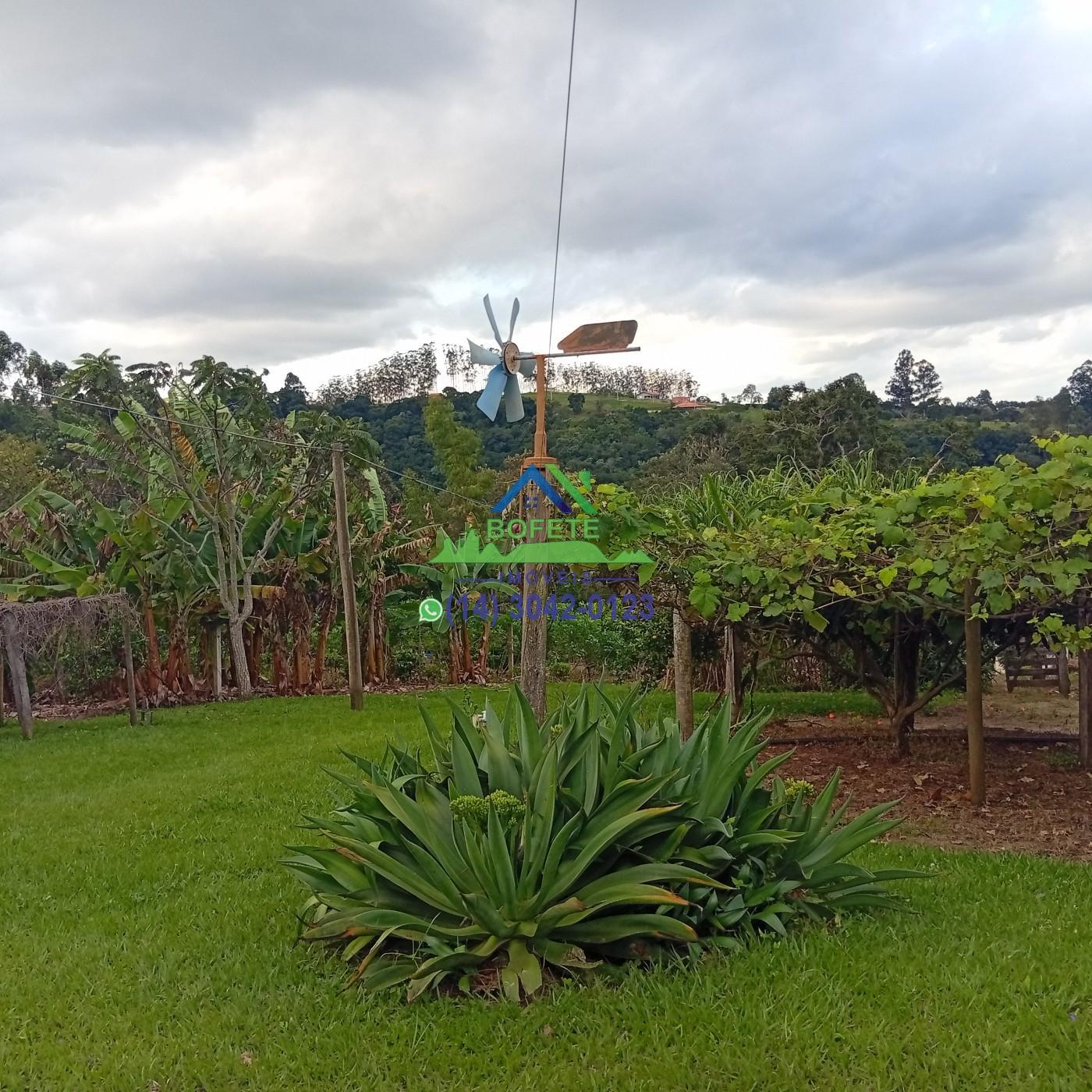 Fazenda, 2 hectares - Foto 31