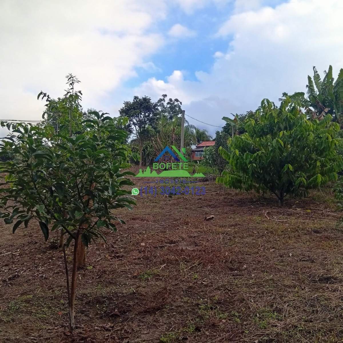 Fazenda, 2 hectares - Foto 33