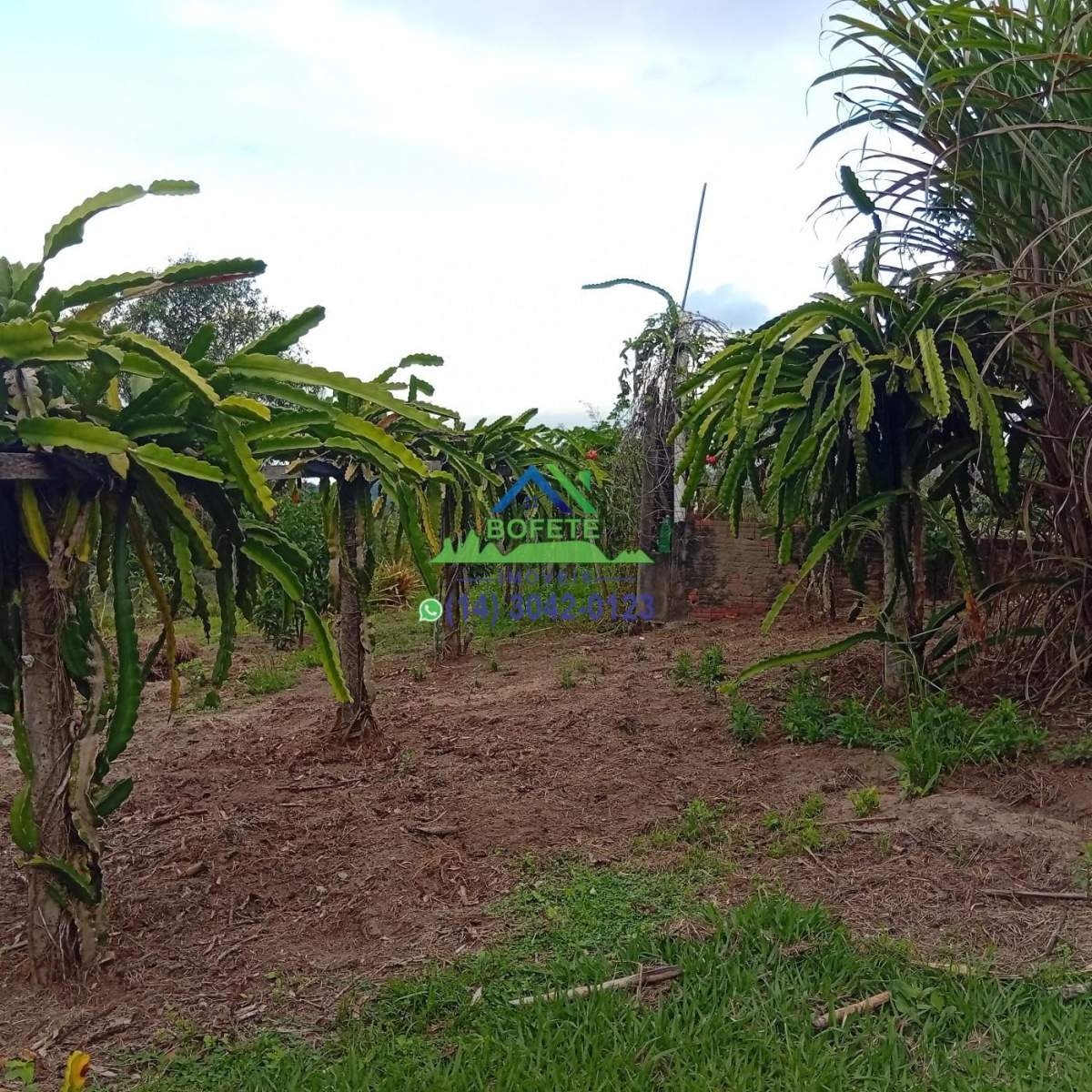 Fazenda, 2 hectares - Foto 34