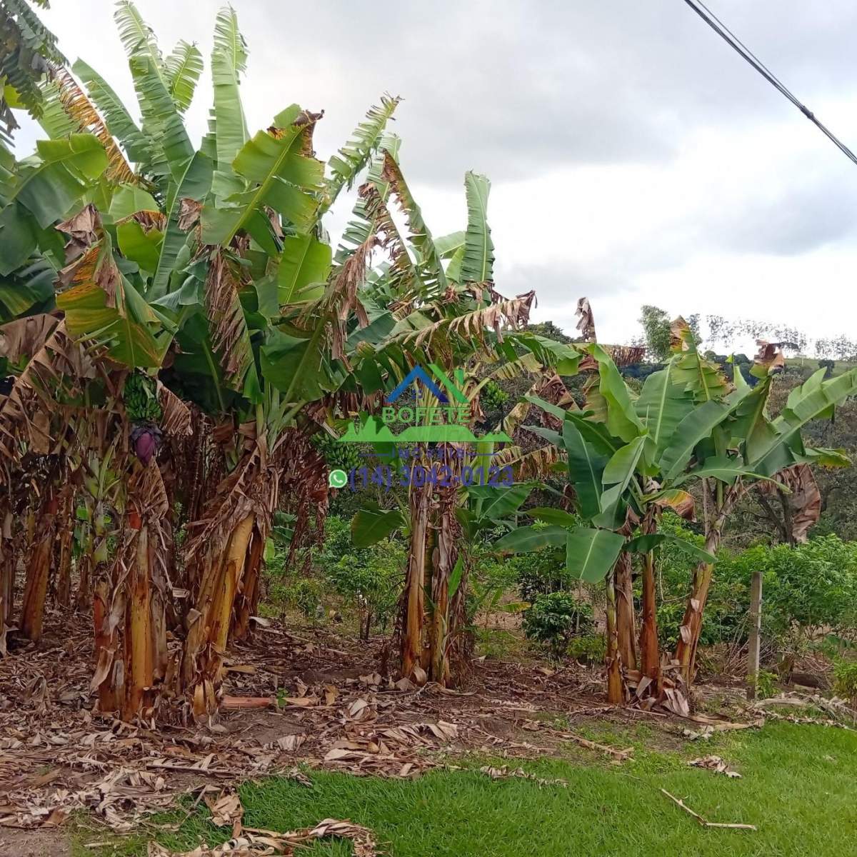 Fazenda, 2 hectares - Foto 36