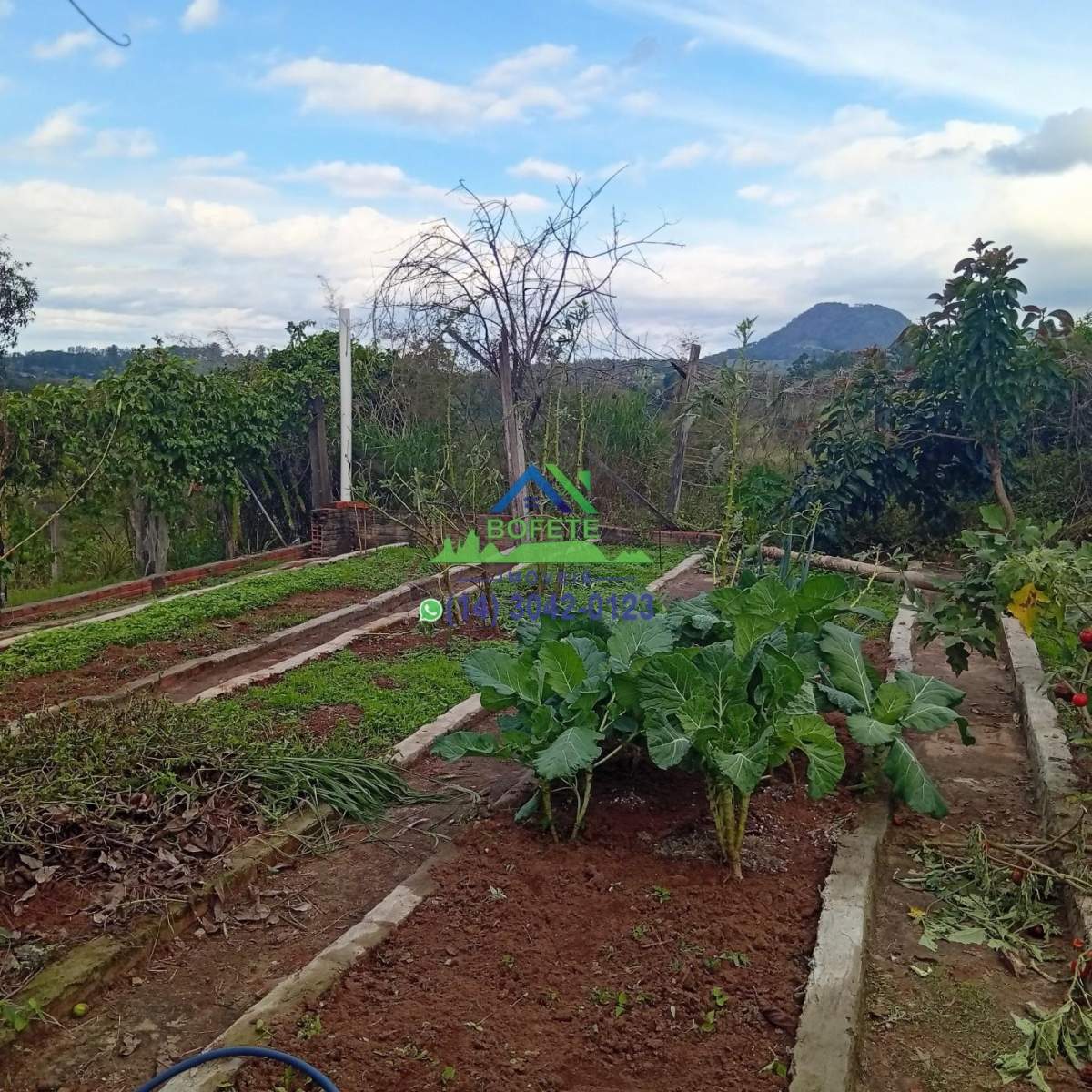 Fazenda, 2 hectares - Foto 27